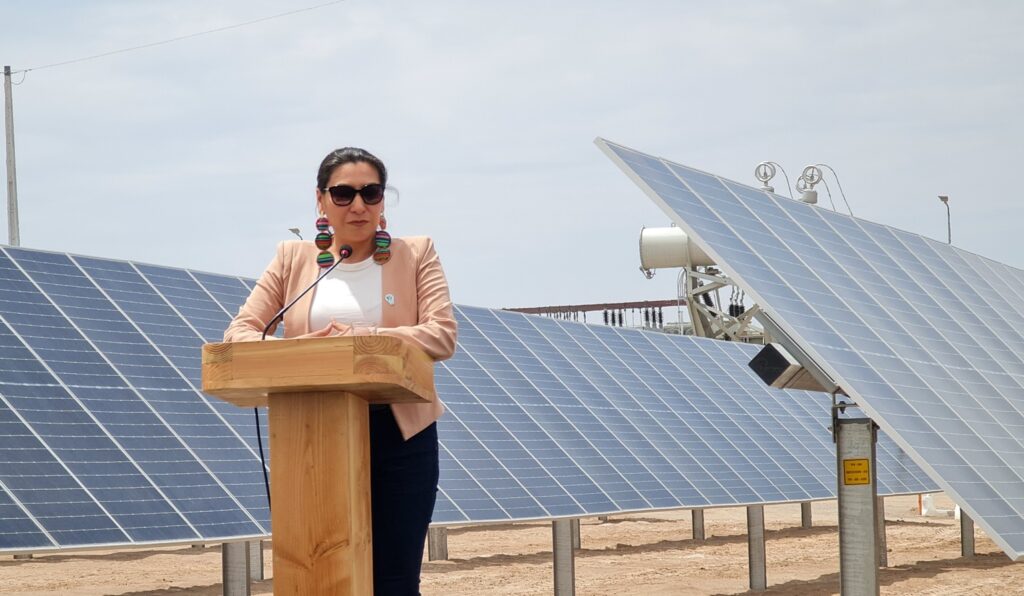 Seremi de Energía de Arica Parinacota, Anita Flores